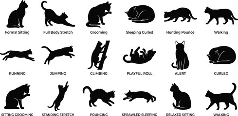 Fototapeta premium Cat activity silhouette vector illustrations showing feline poses, grooming, sleeping, hunting, stretching, and playful movements
