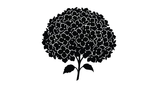 Elegant black silhouette of a blooming hydrangea flower against a white background