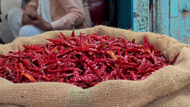 Dried red chili peppers piled high in jute sack at indian spice market