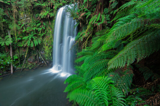 Long exposure of Beauchamp Falls waterfall rainforest in the Great Otway National Park