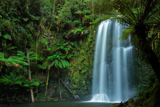 Long exposure of Beauchamp Falls waterfall rainforest in the Great Otway National Park