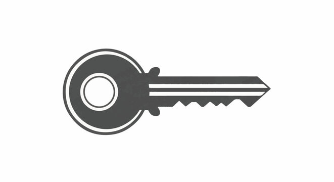 A simple dark grey key with a white inner circle and edge, isolated on white