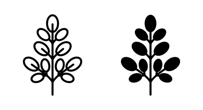 Moringa Leaf Vector Icons, Simple Outline and Silhouette Plant Elements, Organic and Natural Design Assets