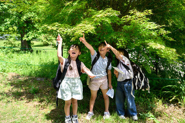 Fototapeta premium 新緑の自然の中で地図を手に上を指差して発見を喜ぶ女子小学生のグループ