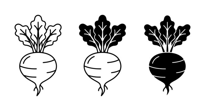 Beetroot Vector Icons Set: Simple Outline, Line Art, and Silhouette Styles for Healthy Food Graphics