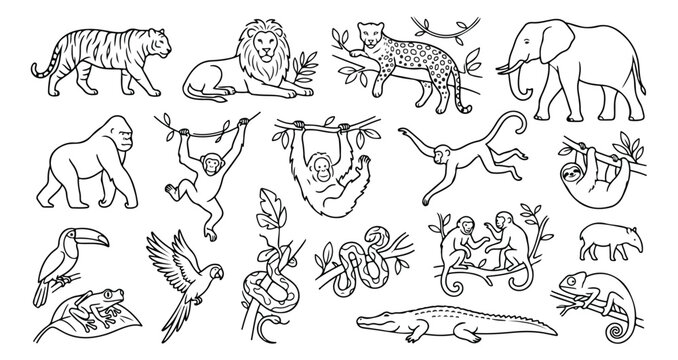Hand drawn jungle animals vector set, wild safari wildlife line art collection, exotic tropical zoo creatures for coloring books and educational design