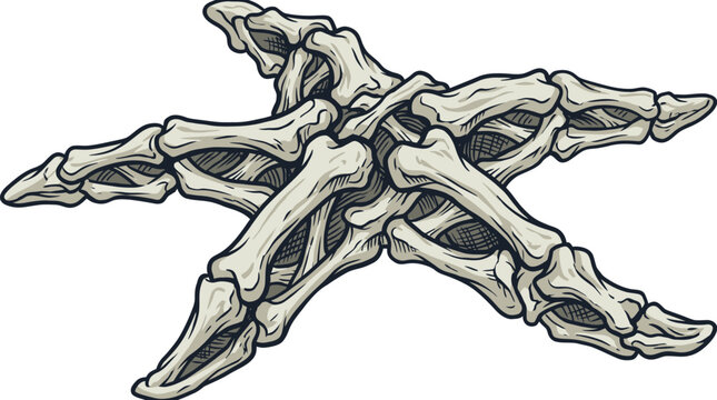 Starfish shaped by human finger bones creates a surreal and dark anatomical composition.