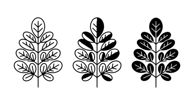 Moringa Leaf Vector Icons, Botanical Plant Illustrations, Healthy Food Ingredient Graphics, Organic Element Set