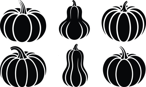 Modern Farm Produce Icon Sheet, Minimalist Gourd and Pumpkin Graphic Stamps, Autumn Pumpkin and Squash Silhouette Set, Thanksgiving Harvest Vector Elements.