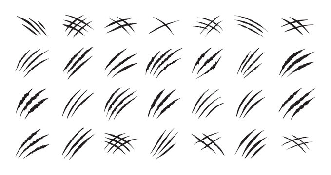 Claw scratches isolated. Black Bear tiger claws trails, animal scratched white paper. Flat scratch marks, racy wild beast tracks clipart