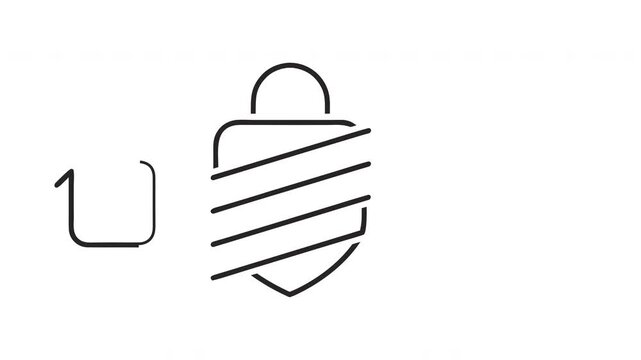 Internet Security Workflow Line Icons Animation: Secure Connection and Protected Server
