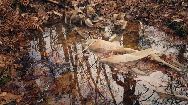 Discarded plastic bag floating in a muddy puddle surrounded by dead leaves. High-contrast shot emphasizing environmental degradation and human waste in nature.