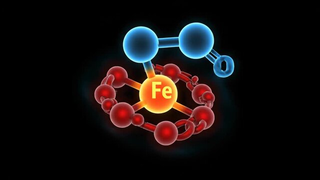 3D Animation of Heme Group and Oxygen Binding for Medical Visualization