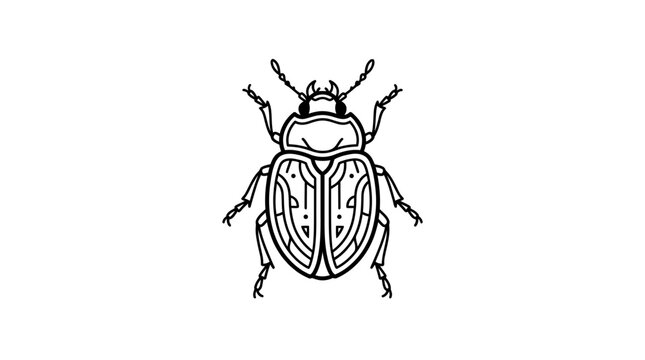 Hand-drawn beetle illustration, line art insect, minimalist design on white background