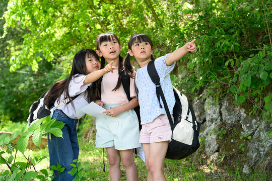 新緑の森の中で地図を持ち指差しをする遠足の女子小学生たち