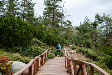 Fototapeta premium Active Mature woman walking in the mountain