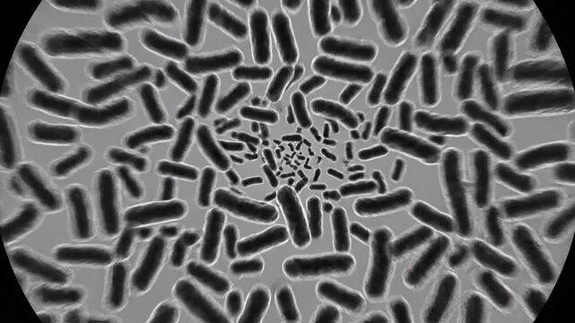 Microscopic view of bacteria dividing and multiplying in a petri dish.