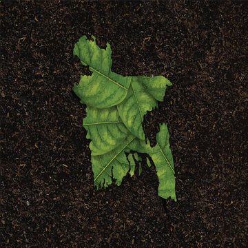 Green leaves forming the map of Bangladesh on dark soil background.