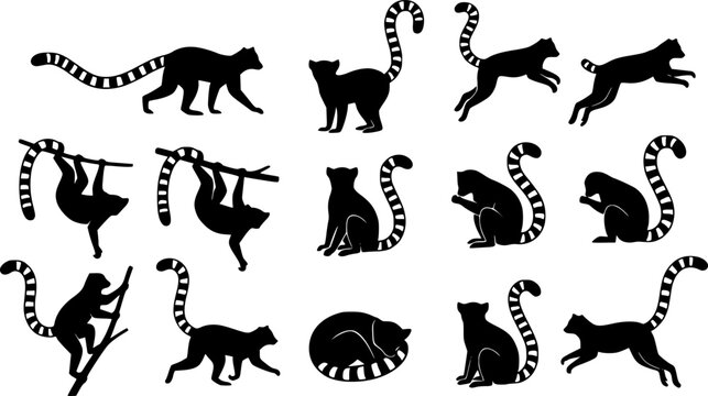 Ring-Tailed Lemur Silhouette Vector Set &ndash; Minimalist Lemur Illustrations on White Background
