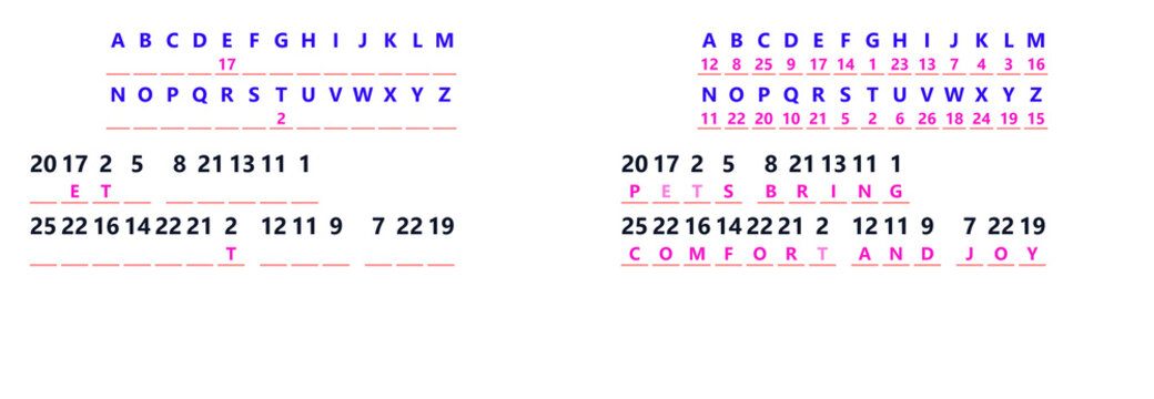 Medium Pet Cipher Code Vector