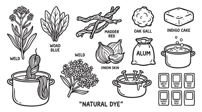 Natural dye ingredients and tools illustration set, including weld, woad blue, madder red, oak gall, indigo cake, onion skin, alum, and various dyeing processes.