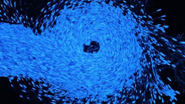 Swarm of bioluminescent plankton in the ocean at night.