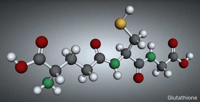 Glutathione (gsh) master antioxidant tripeptide molecule, skin lightening agent cosmetic ingredient, geroprotector cellular supplement. 3D render