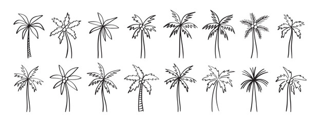 Obraz premium palm tree doodle hand drawn icon set. Outline drawing palm tree line clipart symbol collection