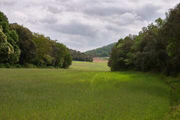 Fototapeta premium Panoramic view of a lush green meadow surrounded by a dense forest and gentle hills under a spectacular stormy sky