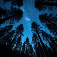 Fototapeta premium Tall pine trees silhouette against deep blue starry night sky with milky way. Forest canopy viewed from below at dark midnight. Celestial expanse above dark woods.
