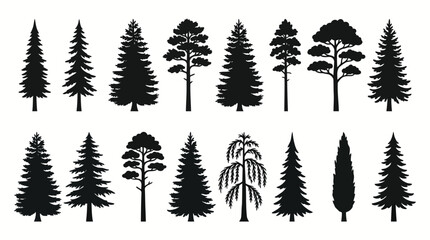 Fototapeta premium Collection of Various Coniferous and Deciduous Forest Tree Silhouette Icons