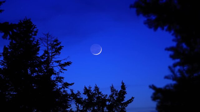 Crescent Moon, planet conjunction and landscape scenery silhouettes. Real-time twinkling stars.