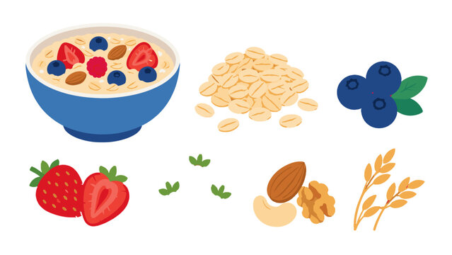 Healthy breakfast ingredients and oatmeal bowl vector set