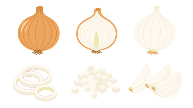 Set of whole and sliced onion pieces in simple vector style