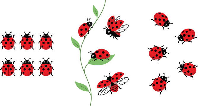 Cute Red Ladybug Collection with Green Plant Stem and Flying Insects for Nature Spring Garden Decoration Design