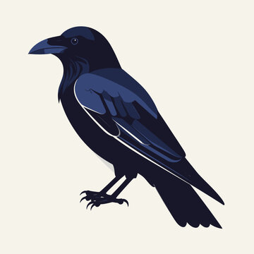 Dark silhouette of a crow bird.