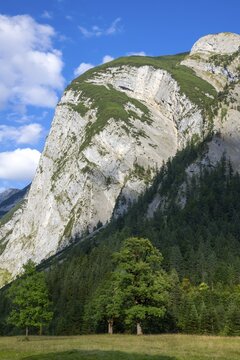 B&auml;renwandkopf with B&auml;renwand, seen from the Engalm, Karwendelgebirge, Tyrol, Austria