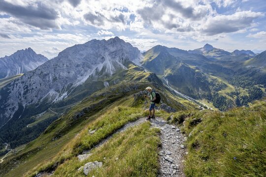Mountaineer on a hiking trail on a grassy mountain ridge, idyllic mountain landscape with green mountain meadows, descent from B&auml;renbadegg, rocky summit Porze in the background, Carnic High Trail, Carnic Main Ridge, Carnic Alps, Carinthia, Austria