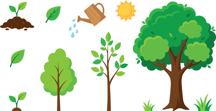 Tree life cycle and plant growth stage vector elements set featuring green sprout sapling watering can sun and mature oak isolated on white background