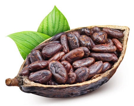 Opened cocoa pod with beans and leaf isolated white background