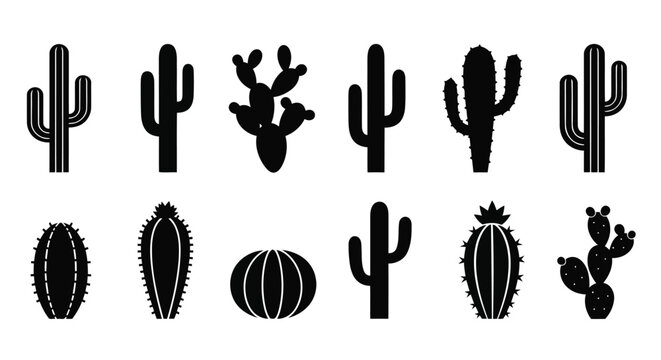 Black cactus silhouettes on white background