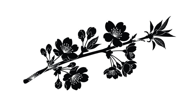 Black cherry blossom branch silhouette
