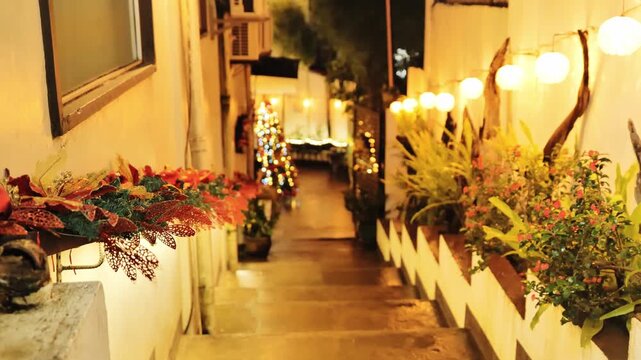 Christmas lights, colorful tropical plants decorate peaceful Coron Town pathway