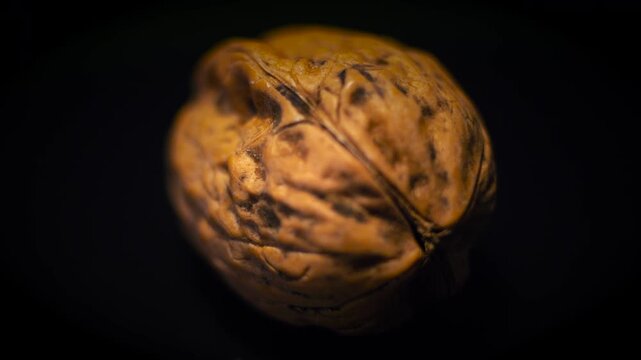 50p extreme close up shot of a walnut rotating to reveal its texture
