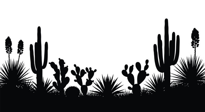 Black silhouette of cacti and succulents on white background