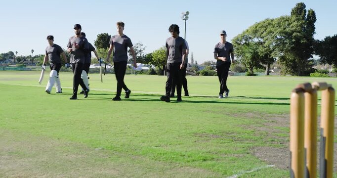 On captain signal, diverse male cricket team entering pitch, preparing wicket for bowling