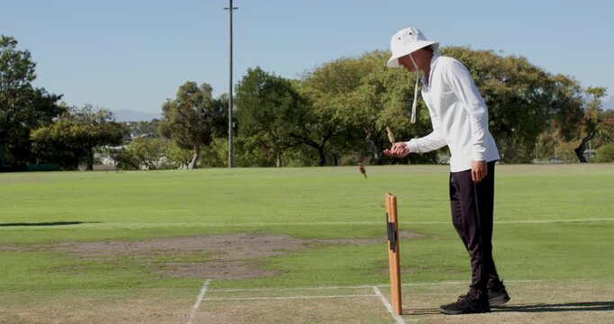 Adult male cricketer picking up bail on pitch, walking toward team congratulating, copy space