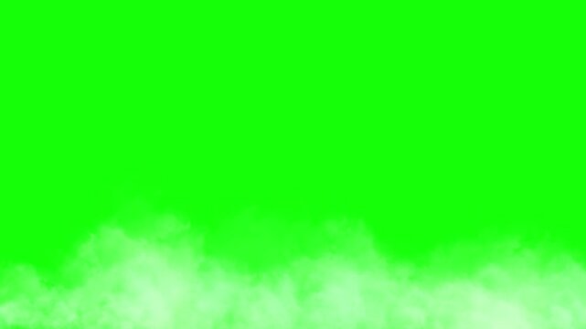 Mist layer rolls across the bottom of a vivid green screen background to provide a realistic atmospheric effect for cinematic editing.