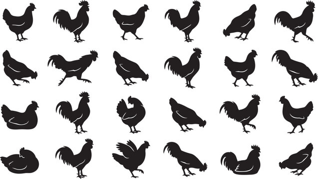 Chicken and rooster silhouette collection featuring farm poultry in various poses isolated on white background for design