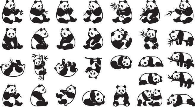Cute panda vector set featuring eating bamboo, sitting, sleeping, rolling and playful panda poses isolated on white background